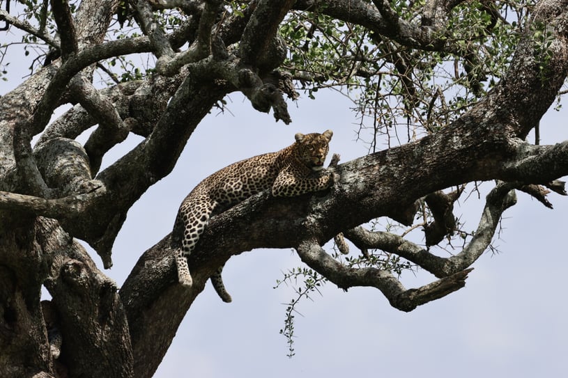 2026-02-18_07-22-12_360