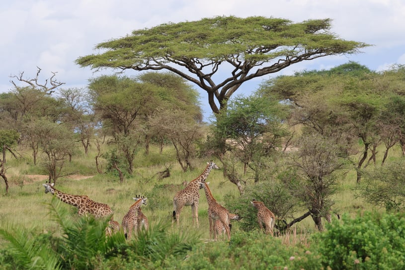 2026-02-22_08-40-29_810-1